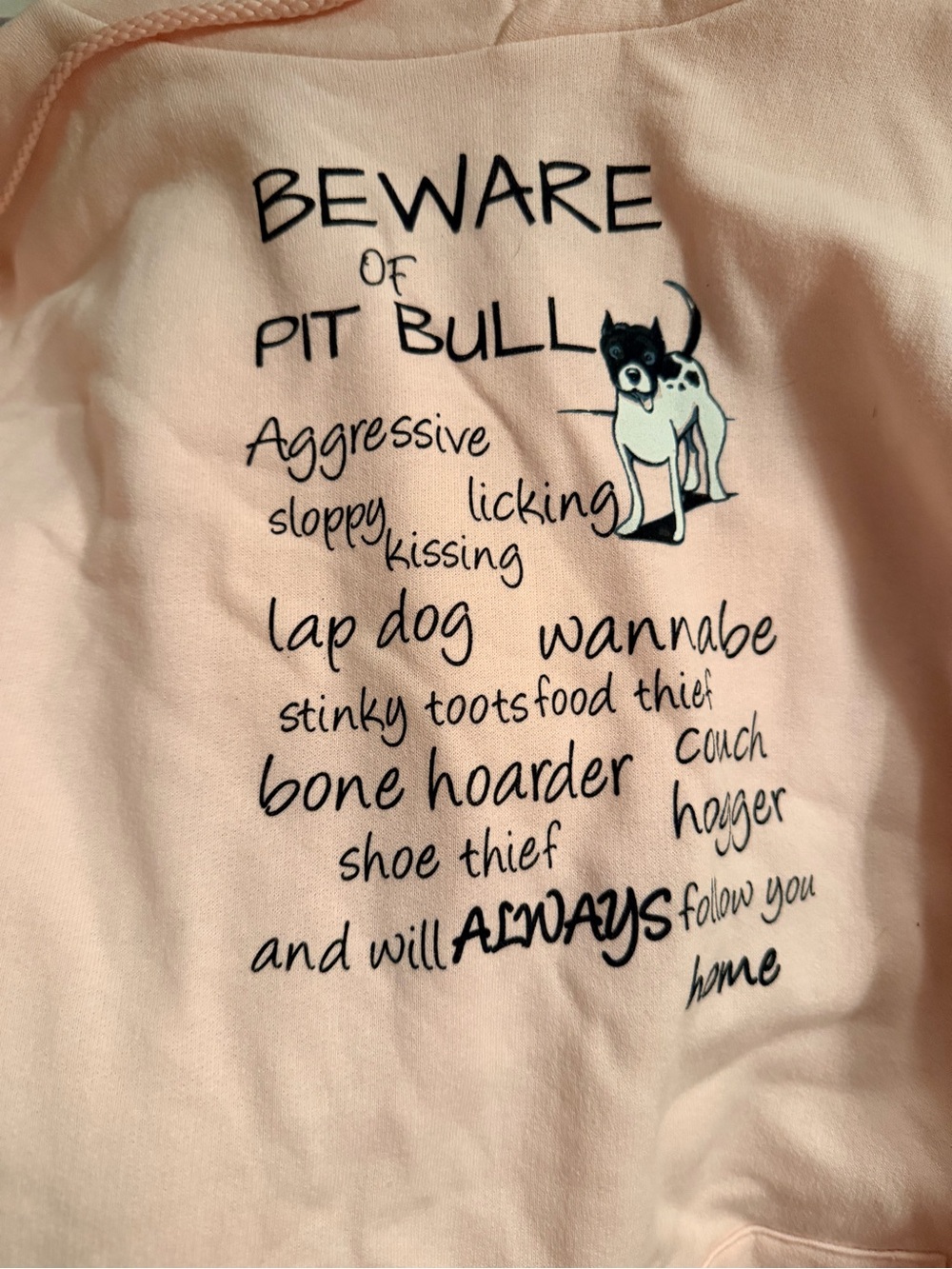 Light pink women’s hoodie, “beware of pit bull”, size large, never worn